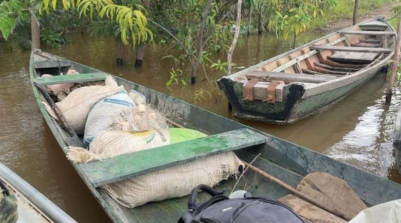 Canoas apreendidas em fiscalização de defeso
