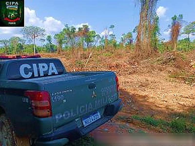 Área desmatada com viatura da CIPA