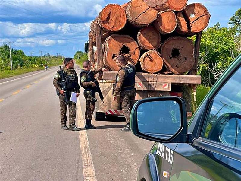 Fiscalização de carga de toras em rodovia